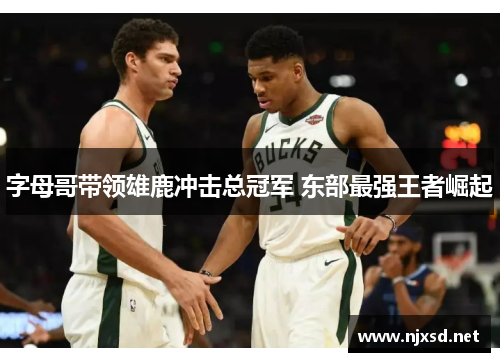 字母哥带领雄鹿冲击总冠军 东部最强王者崛起 字母哥带领雄鹿冲击总冠军 东部最强王者崛起