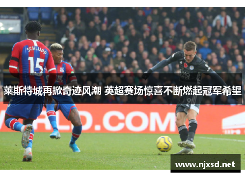 莱斯特城再掀奇迹风潮 英超赛场惊喜不断燃起冠军希望 莱斯特城再掀奇迹风潮 英超赛场惊喜不断燃起冠军希望